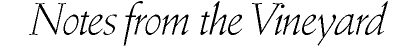 Notes from the Vineyard