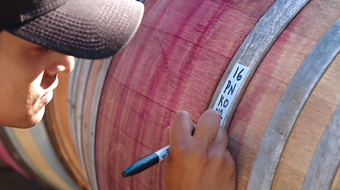 The Ojai Vineyard ~ One harvest day in 2016 (Video)