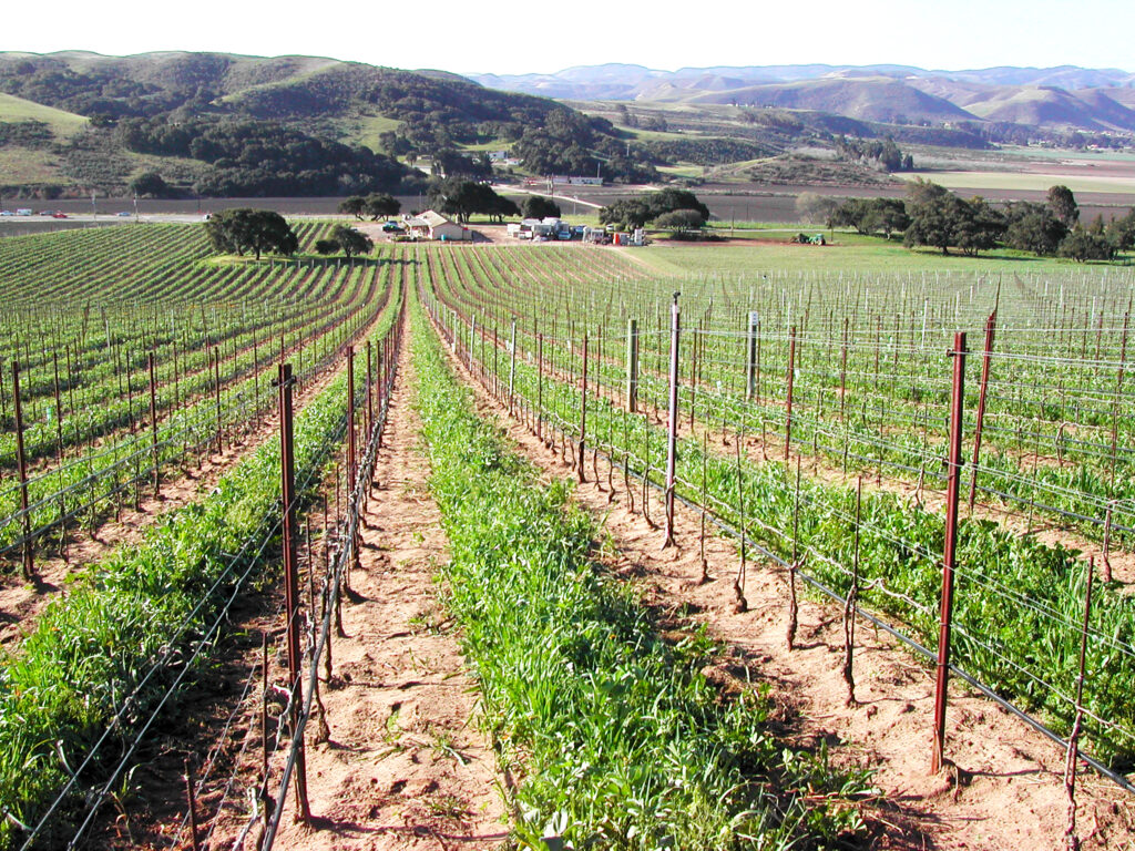 The Ojai Vineyard Duravita - The Ojai Vineyard