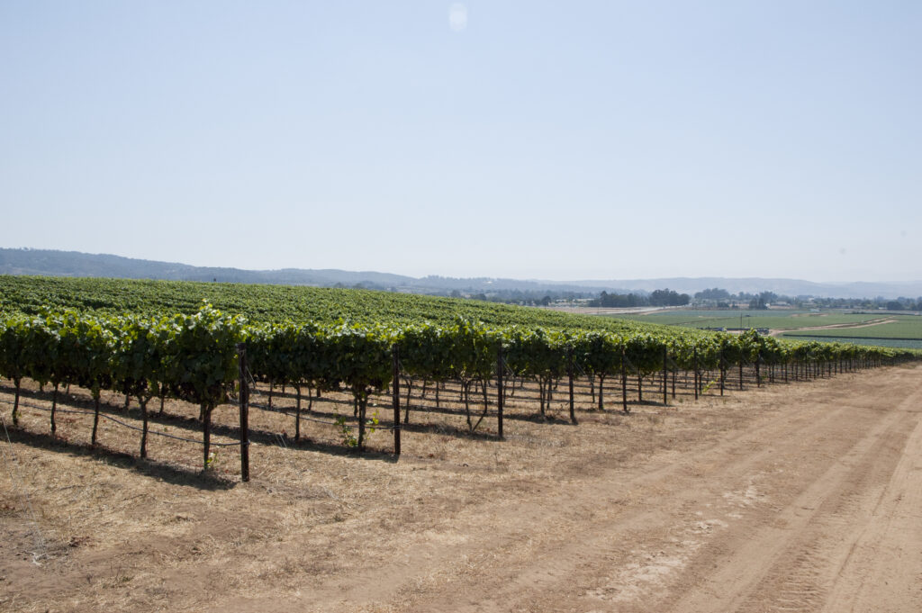 Solomon-Hills-5-1024x681.jpg