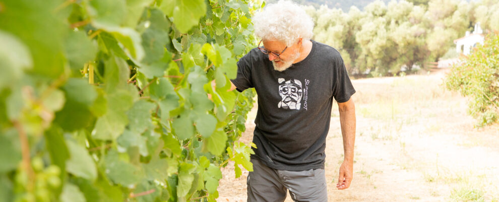UPDATE: The hybrid varietals planted at our vineyard in Ojai, as reported by Wine Enthusiast