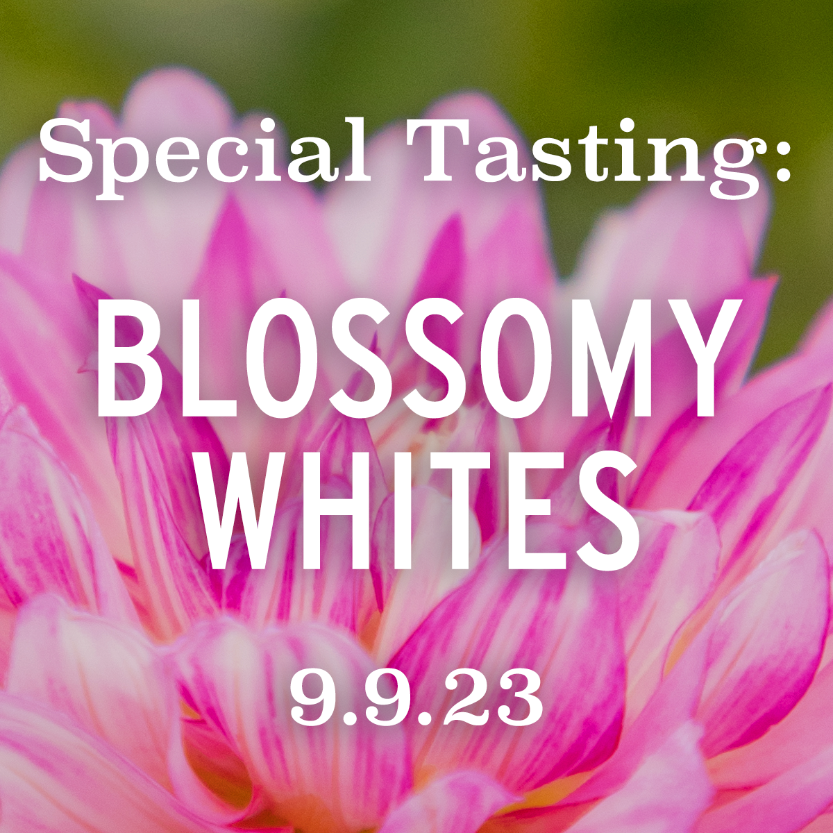 Blossomy Whites Tasting