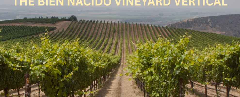 Bien Nacido Vertical Tasting