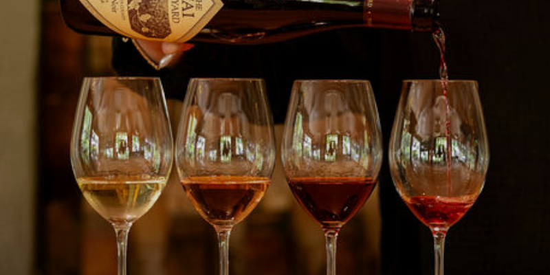 Wine 101 Tasting Event