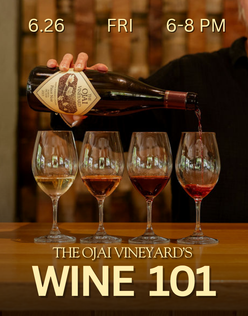Wine 101 Tasting Event