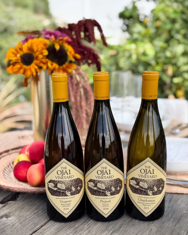 wines | The Ojai Vineyard