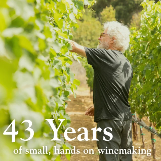 The Ojai Vineyard John Sebastiano - The Ojai Vineyard